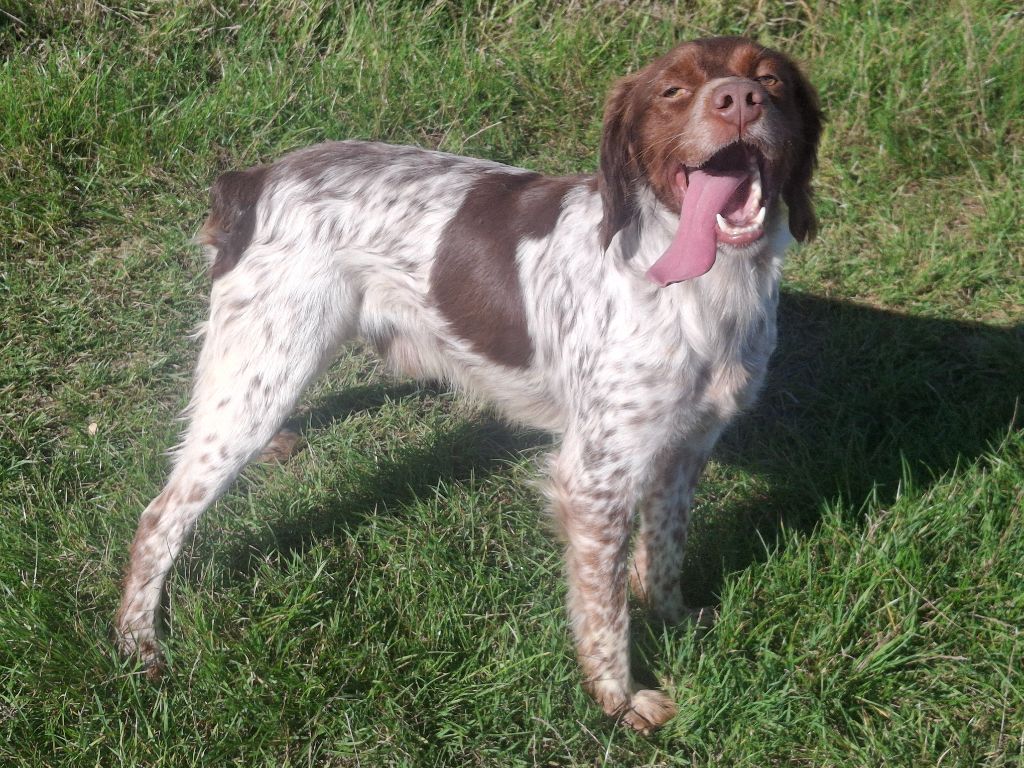 Tacos Du Hameau De L'hirondelle